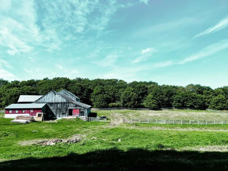 The BHAKTA farm at Shoreham, Vermont